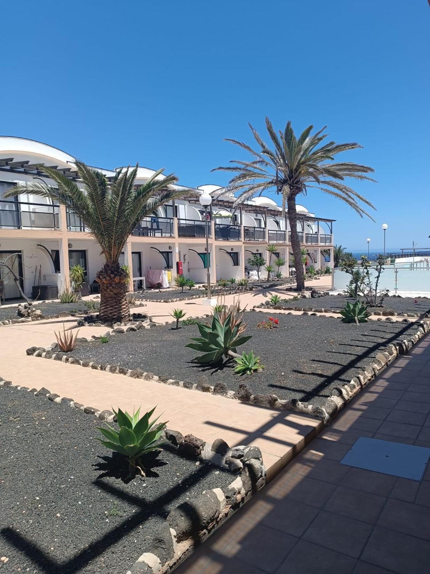 Apartamento Life Complex Amaya Fuerteventura Коста де Антигуа Екстериор снимка