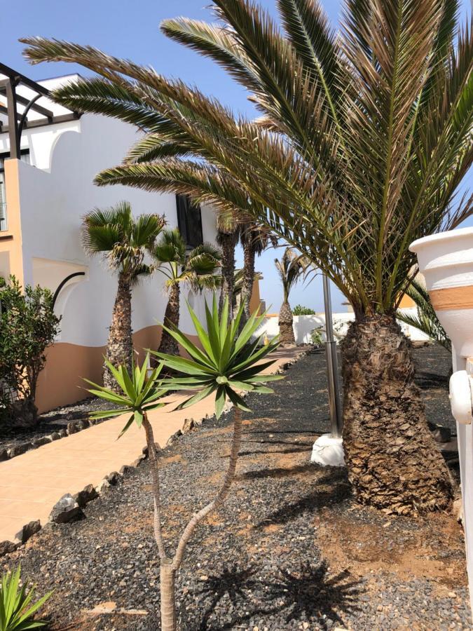 Apartamento Life Complex Amaya Fuerteventura Коста де Антигуа Екстериор снимка